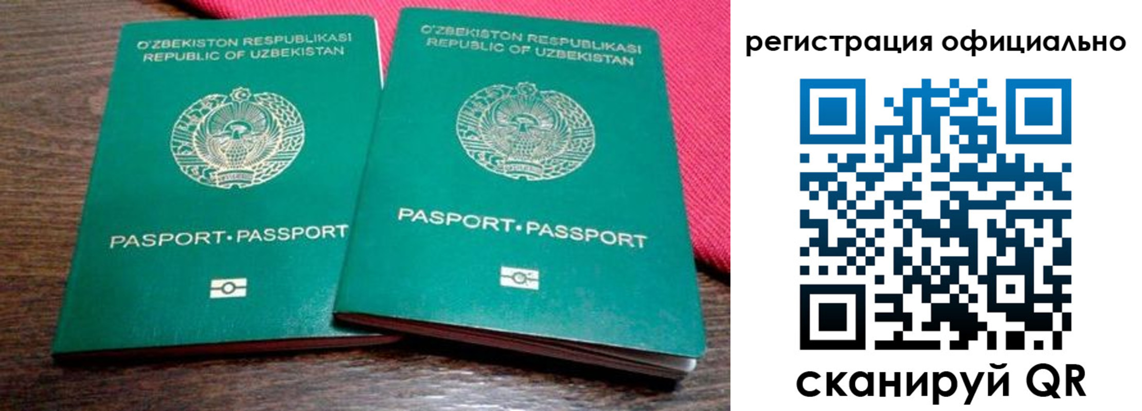 прописка регистрация в Камчатской области